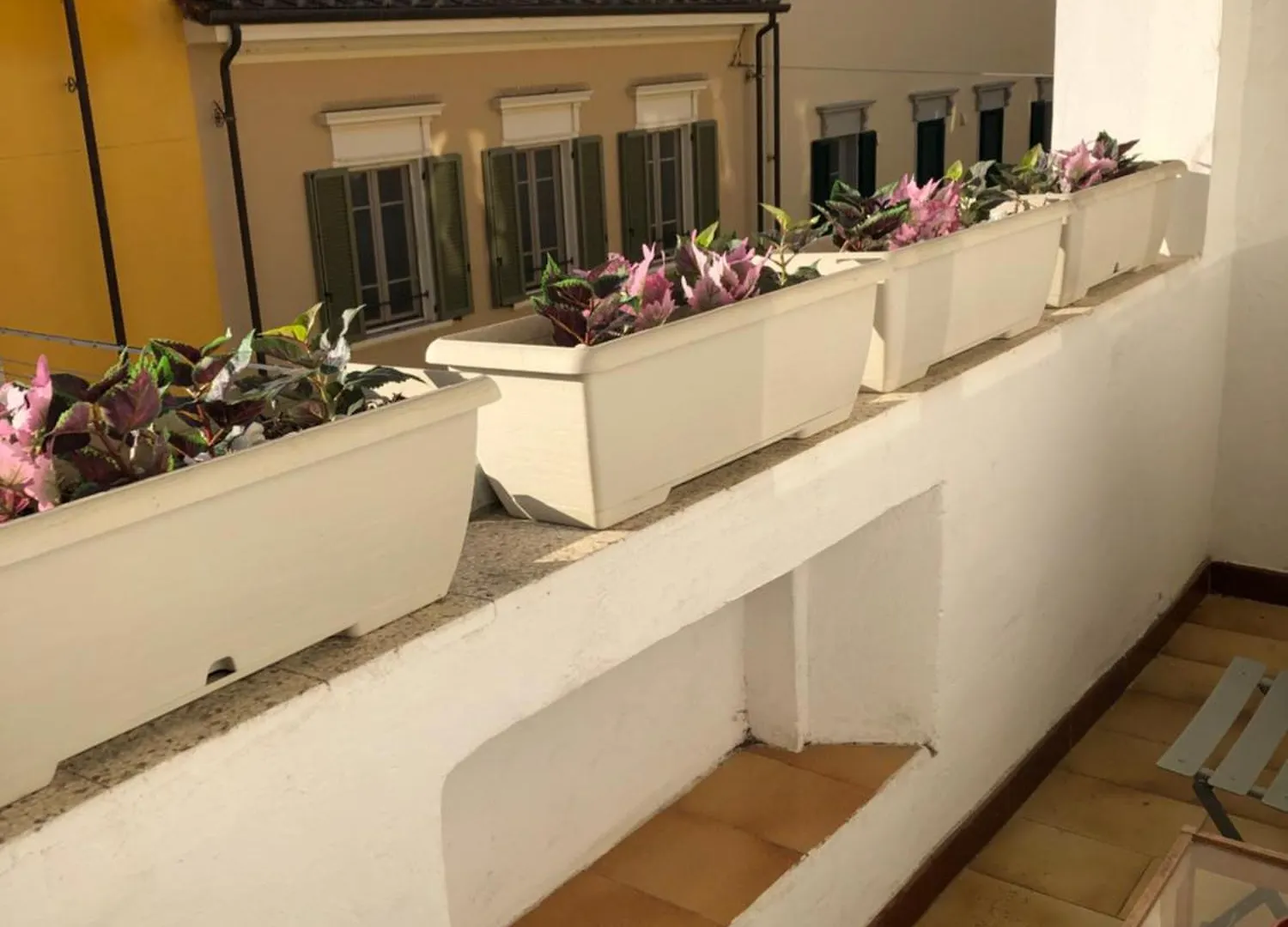 Affittacamere Hotel La Casina Azzurra Pisa Italia